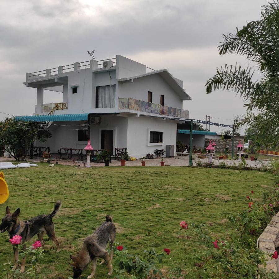 Houbara Resort 사산 기르 외부 사진